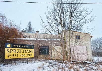 obiekt na sprzedaż - Wisznice, Ratajewicze