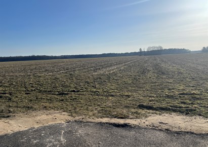 działka na sprzedaż - Biała Podlaska, Woroniec