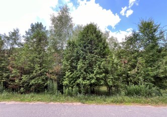 działka na sprzedaż - Biała Podlaska