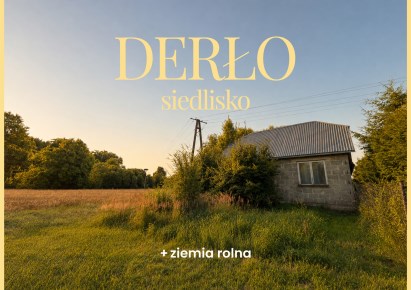 dom na sprzedaż - Rokitno, Derło