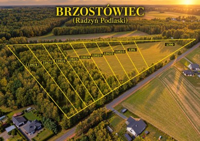 działka na sprzedaż - Radzyń Podlaski (gw), Brzostówiec
