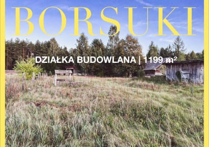 działka na sprzedaż - Sarnaki, Borsuki