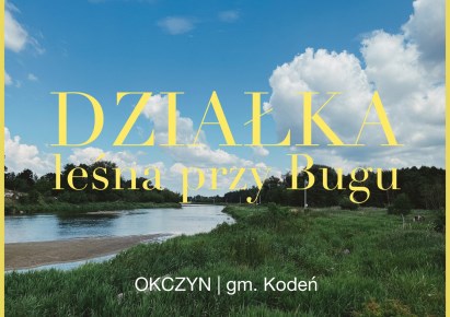 działka na sprzedaż - Kodeń, Okczyn